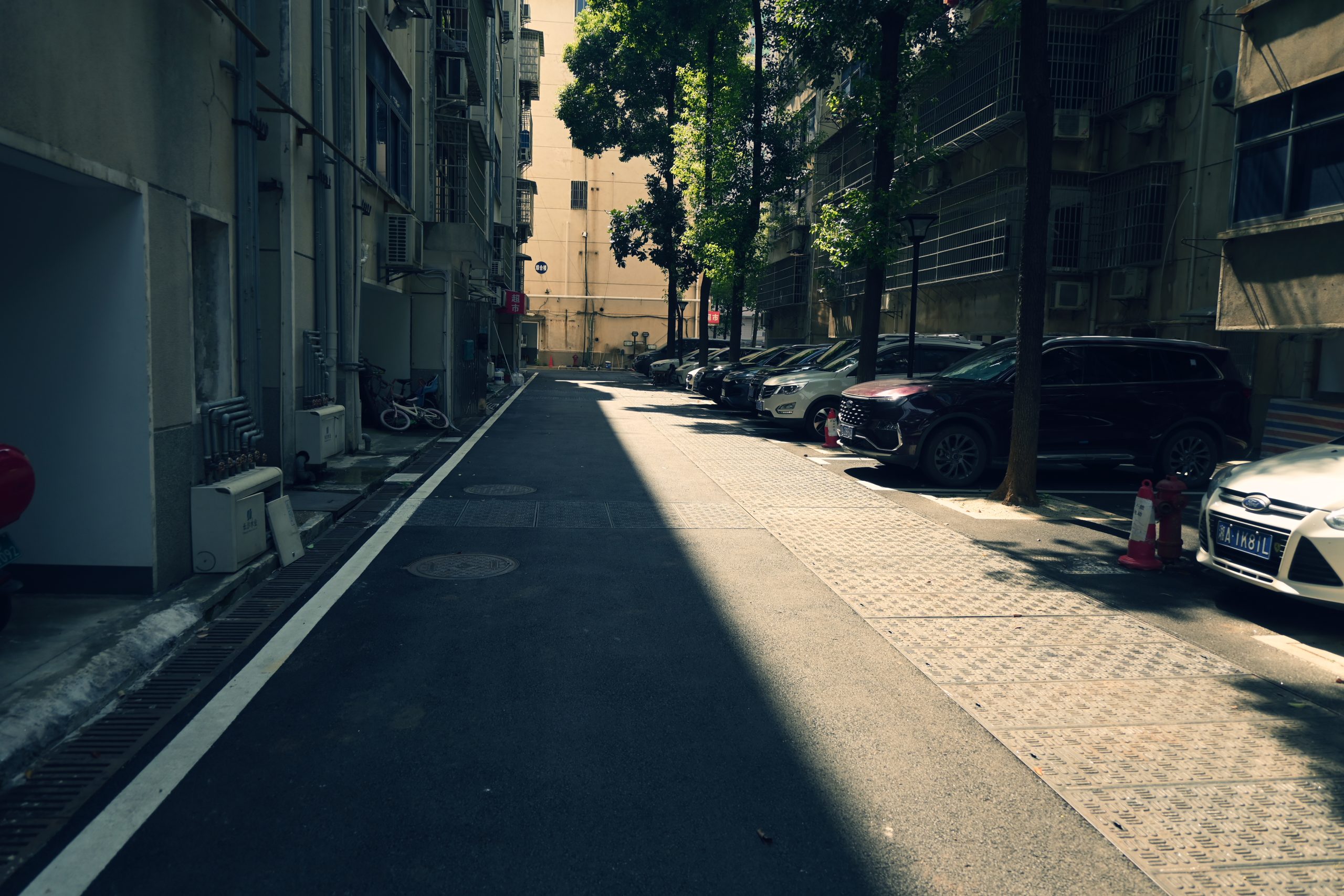 20260816124157284-DSC_0592